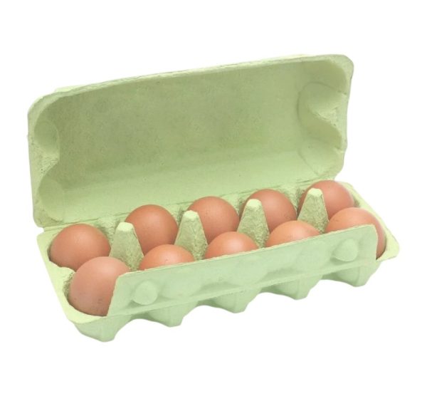 Ambalaža za 10 jaja pulpa kartona, zelen